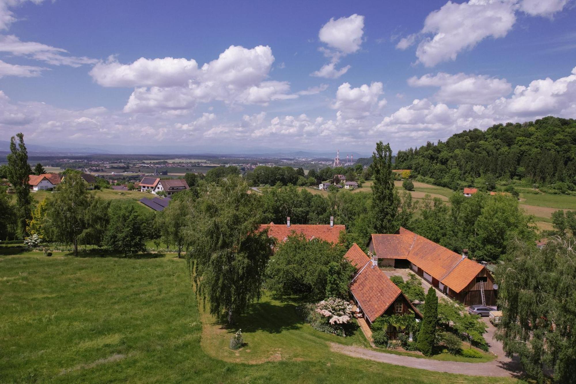 Lexsimihof - Stoeckl Apartment Wildon Exterior photo